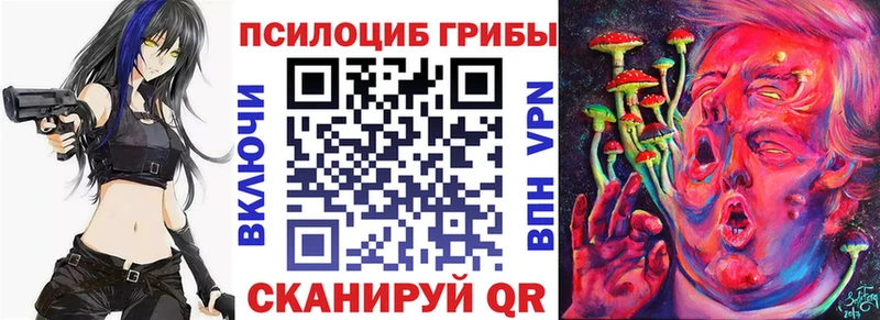 OMG сайт  Мичуринск  Галлюциногенные грибы Magic Shrooms 