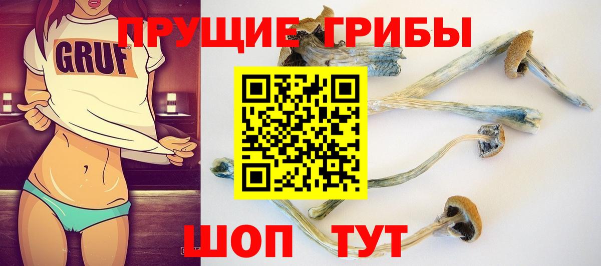 Мичуринск  Псилоцибиновые грибы Magic Shrooms  Вход с VPN 