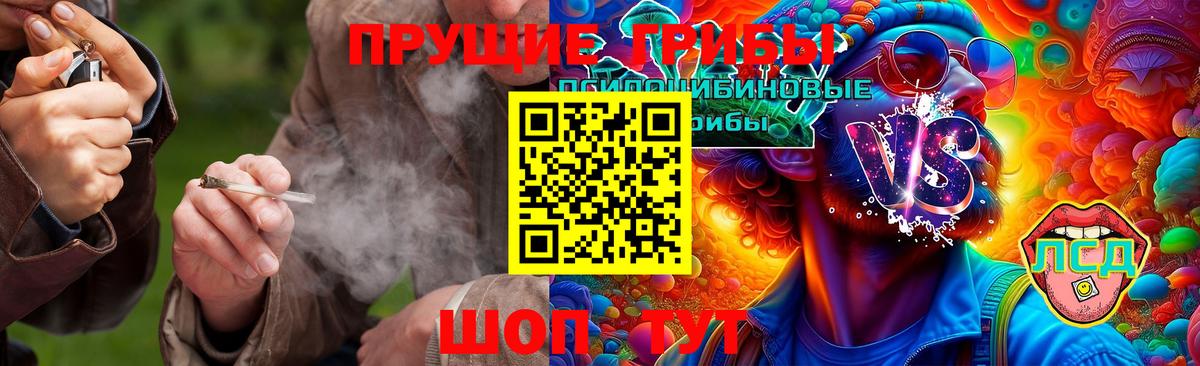 Псилоцибиновые грибы Magic Shrooms Мичуринск